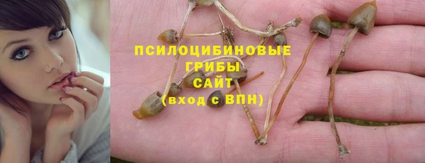 ECSTASY Горнозаводск