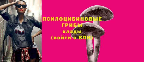 прущий лед Горно-Алтайск