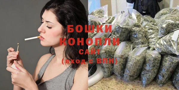 прущий лед Горно-Алтайск