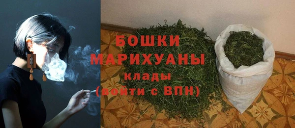 прущий лед Горно-Алтайск