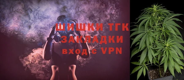гашик Вяземский