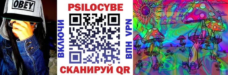 Купить Малмыж Галлюциногенные грибы MAGIC MUSHROOMS